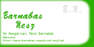 barnabas mesz business card