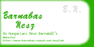 barnabas mesz business card